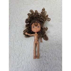 Strawberry Shortcake Garden Pretty Orange Blossom Doll Hasbro Figure Curly 2008